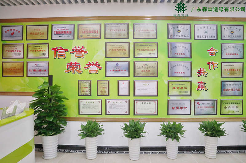 易彩堂(中国区)官方网站入口