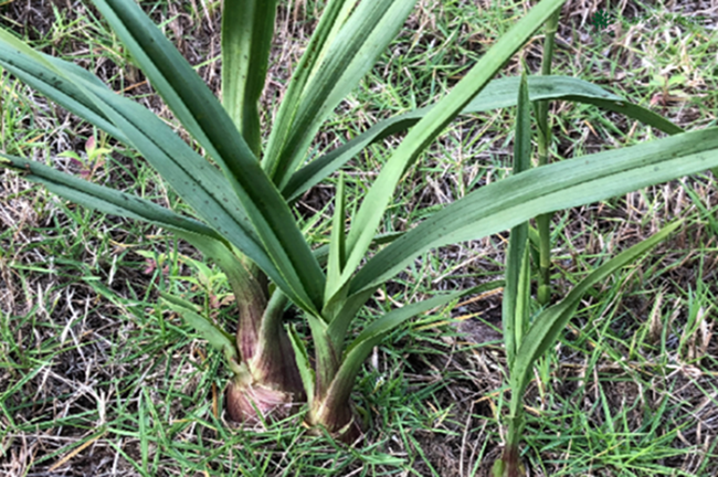 易彩堂(中国区)官方网站入口