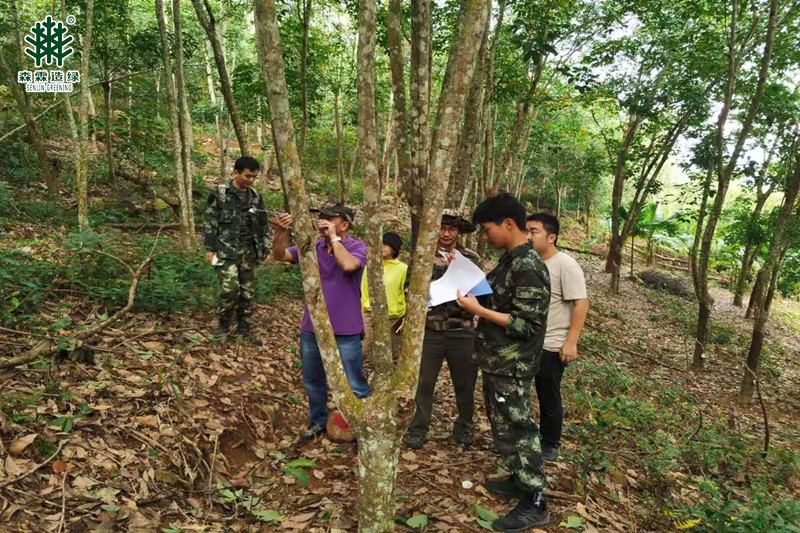 易彩堂(中国区)官方网站入口