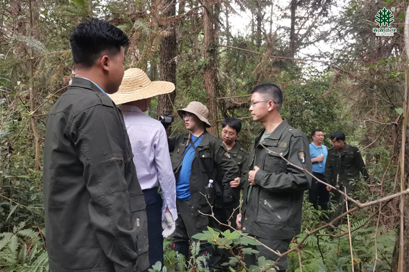 易彩堂(中国区)官方网站入口