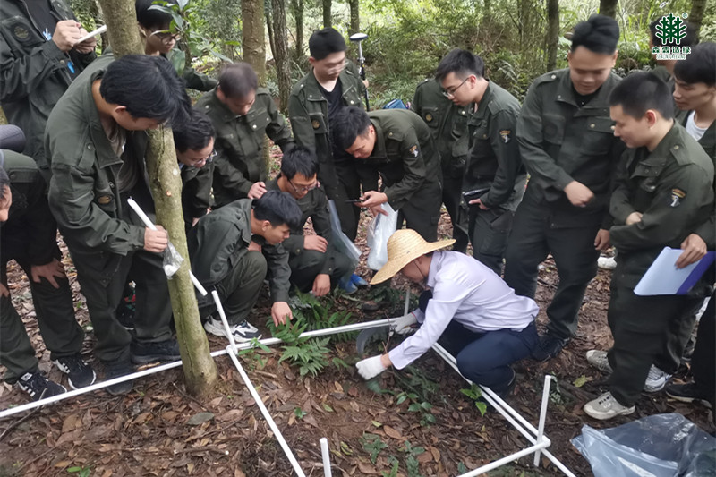 易彩堂(中国区)官方网站入口