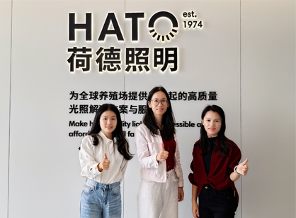 灯光照明行业办公空间焕新就来德赢VWIN装璜