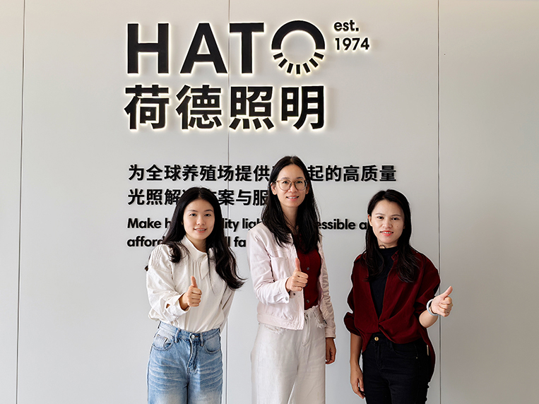 广州装建设计公司